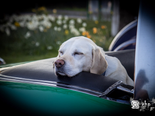 Classic Cars at Rivos Hub Sandford - ColinHillPhotography.uk