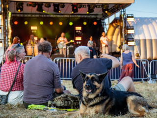 DVF Dorset Volksfest 2025 - colinhillphotography.uk